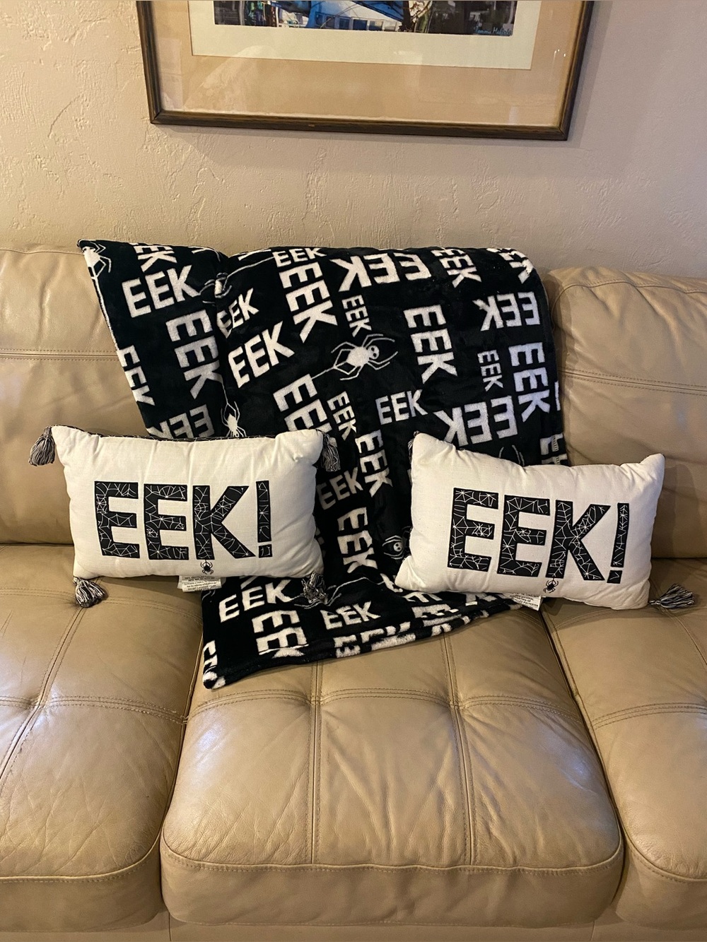Target Hyde & Eek! Halloween “EEK!” Lumbar Pillow Set (2) + Matching Spider Thro